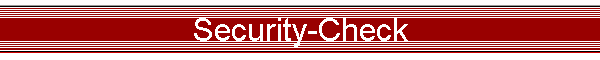 Security-Check